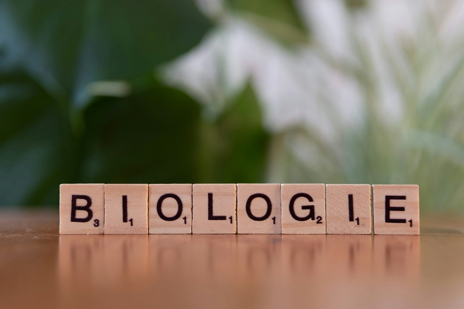 Biohacking Basics for Busy People: Simple Routines That Actually Work